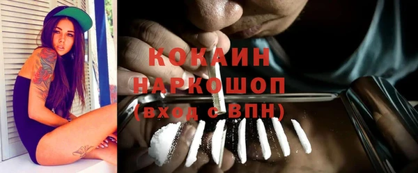 прущие грибы Гусь-Хрустальный