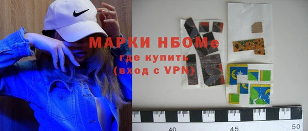 прущие грибы Гусь-Хрустальный