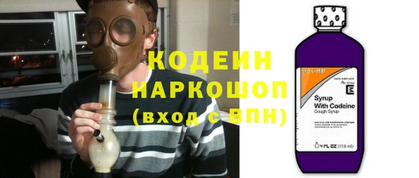 прущие грибы Гусь-Хрустальный