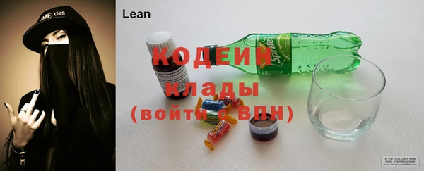 прущие грибы Гусь-Хрустальный