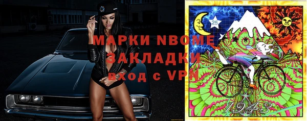 прущие грибы Гусь-Хрустальный