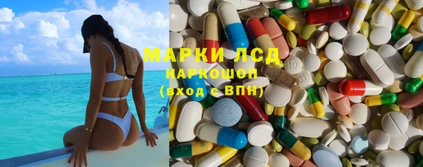 прущие грибы Гусь-Хрустальный