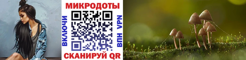 Галлюциногенные грибы GOLDEN TEACHER  Купить закладки  Истра 